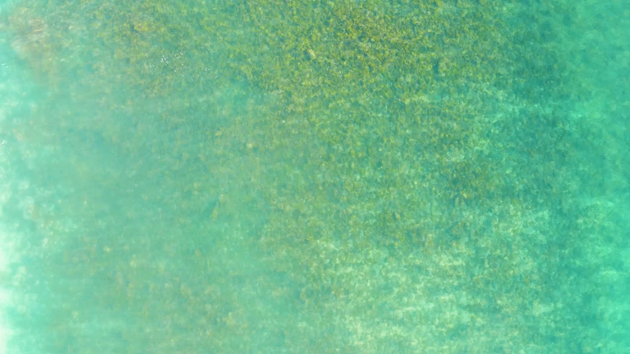 Overhead view of clear turquoise water at Playa Acapulquito Los Cabos with green underwater vegetation visible below the surface and no visible people.