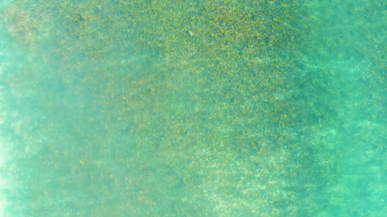 Clear aqua water over green seabed vegetation