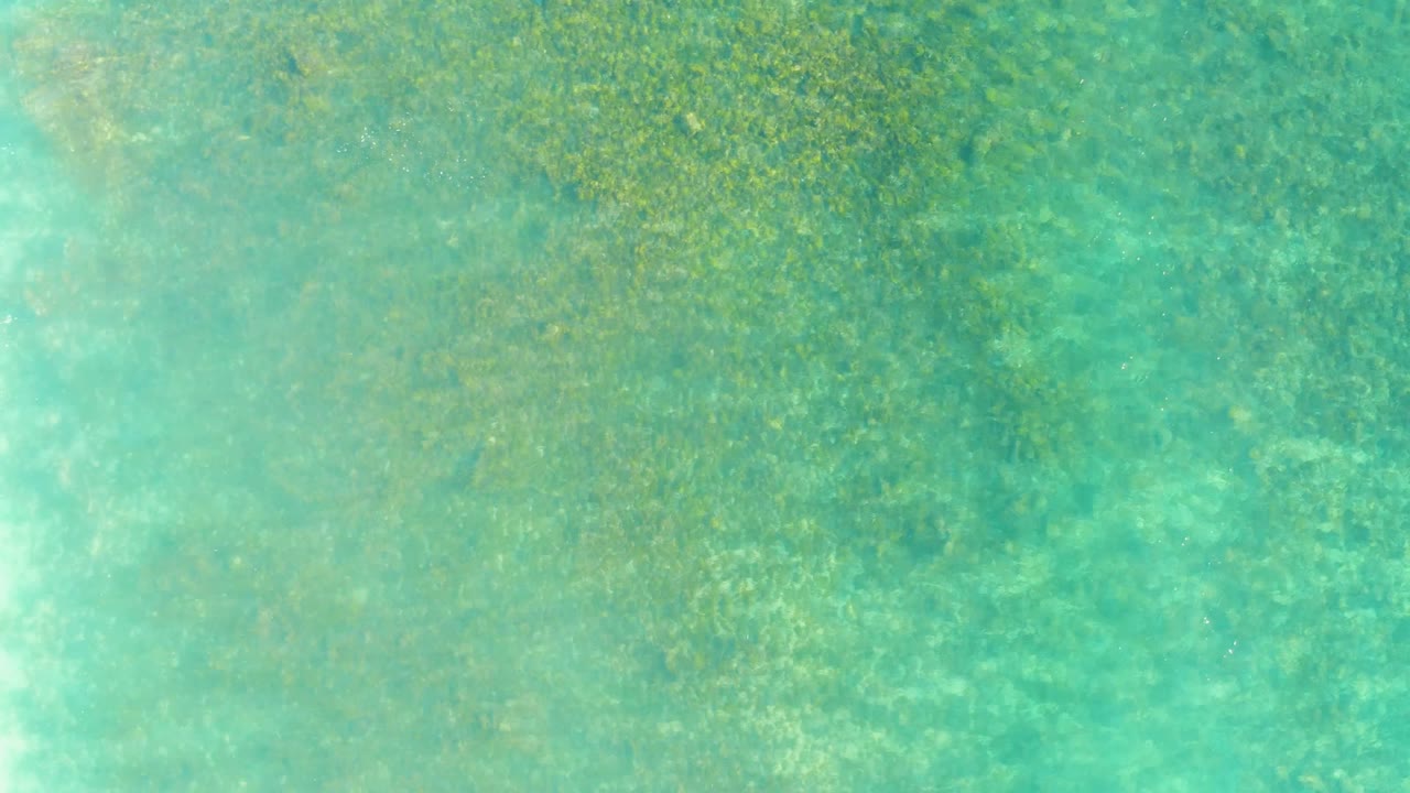 Turquoise shallow ocean at Playa Acapulquito Los Cabos shows underwater vegetation and a pale vertical sunlit streak across the water, with no visible people.