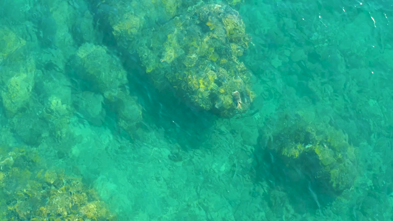 Overhead view of clear turquoise water at Playa Acapulquito in Los Cabos with algae-covered rocks, faint seabed texture, and no visible people.