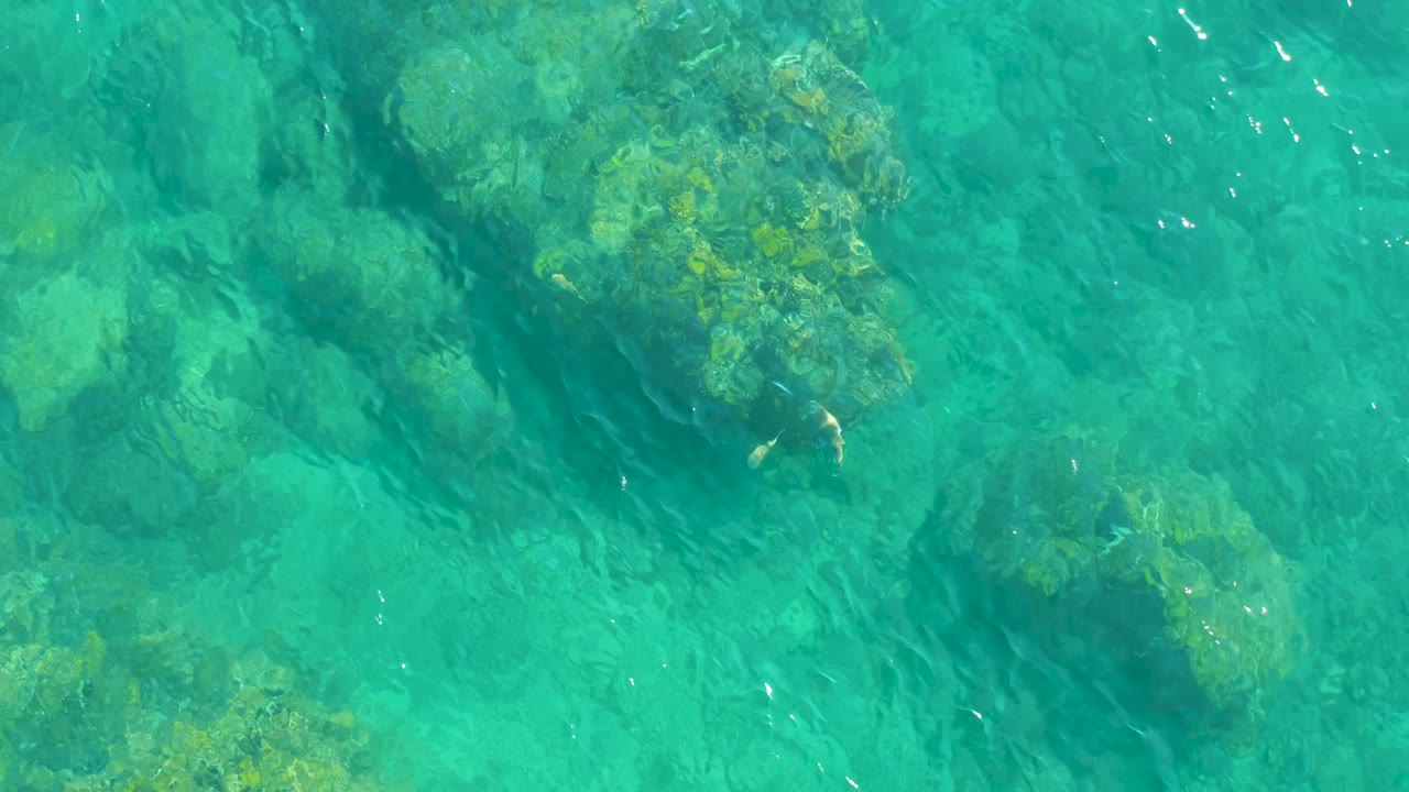 Rock clusters beneath clear turquoise water with light surface ripples.