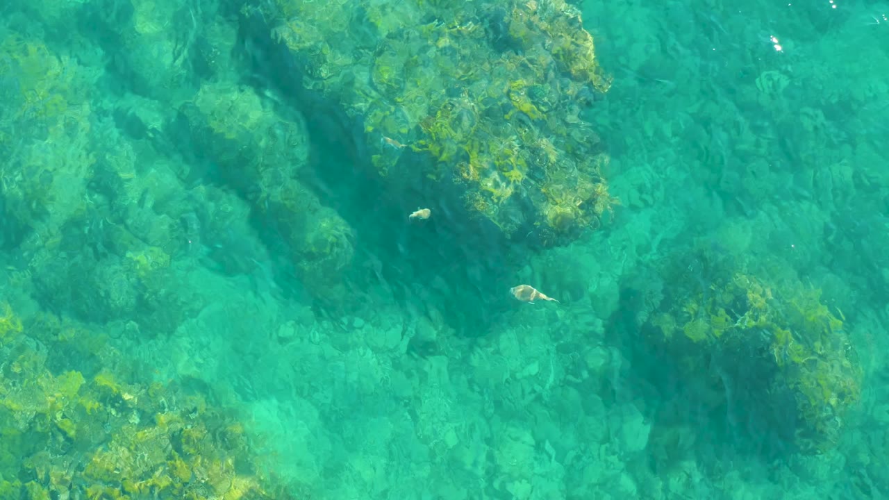 Rocky seabed under clear turquoise water with small fish near the center.
