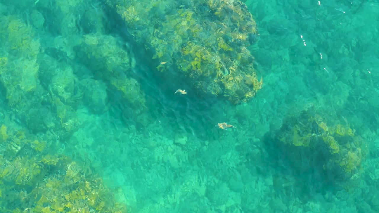 At 0:02, clear water at Playa Acapulquito shows scattered rocky formations with green algae and a small fish toward the right side, with no visible people.