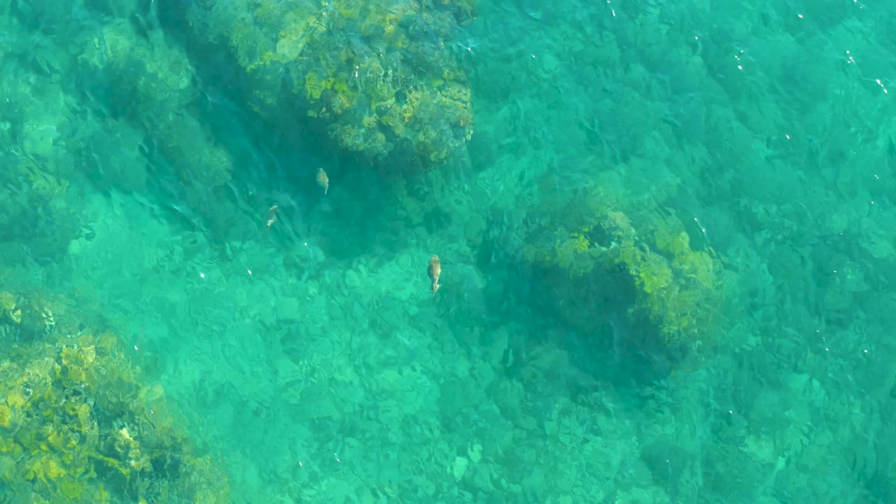 Pale fish pass over turquoise shallows and dark algae-covered rock patches at Playa Acapulquito, with no visible people in frame.