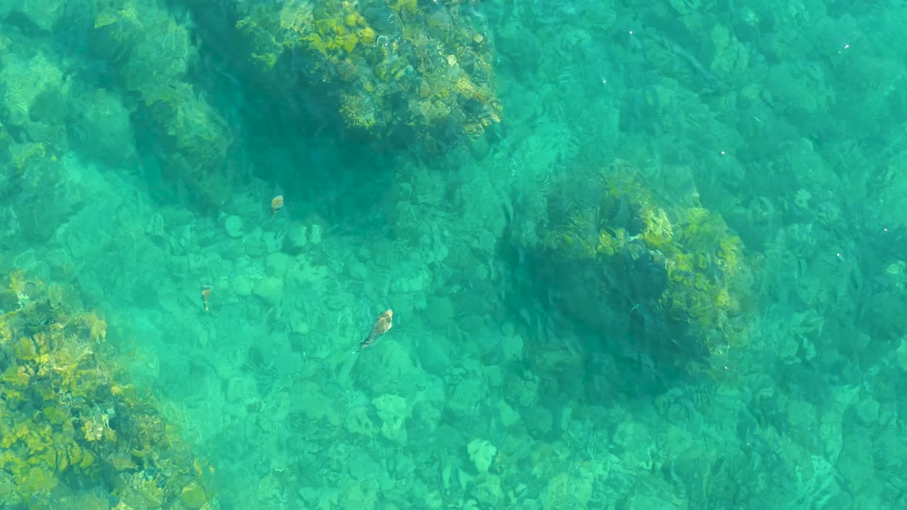 A top-down frame from Playa Acapulquito, Los Cabos shows turquoise water, submerged rock clusters, faint fish shapes, and no visible people.