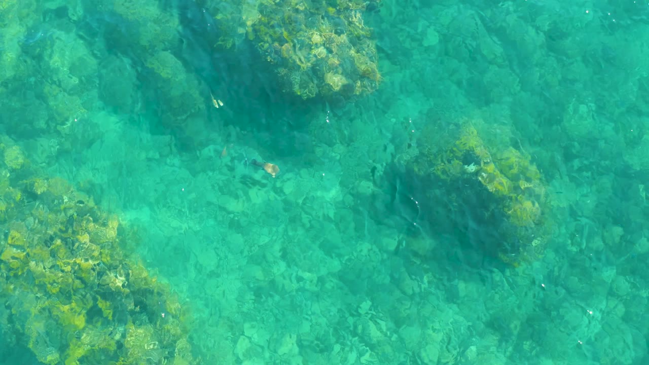 At Playa Acapulquito in Los Cabos, algae-covered rock formations stand out against the turquoise water and pale ocean floor, with no visible people.