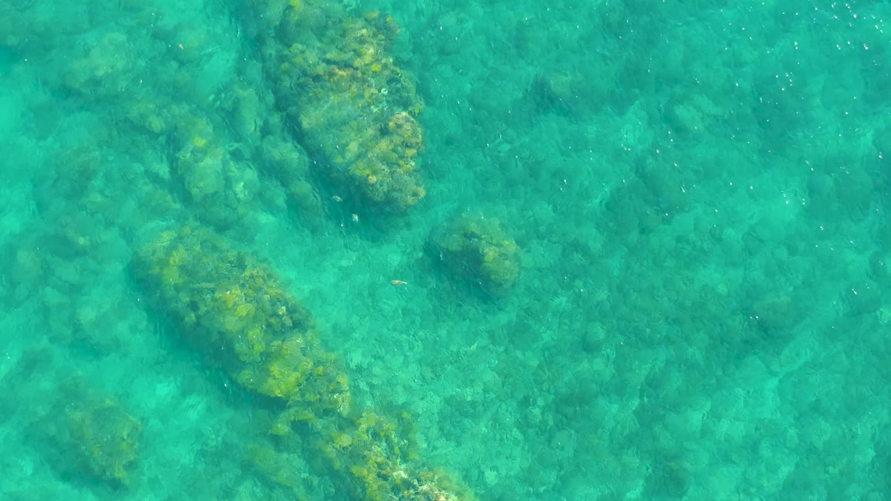 Overhead view of clear turquoise water at Playa Acapulquito, Los Cabos, showing algae-covered rocks beneath the surface and no visible people.