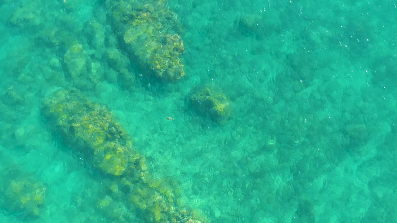 Clear turquoise water at Playa Acapulquito reveals scattered rocky seabed forms with green algae and small surface highlights, with no visible people.