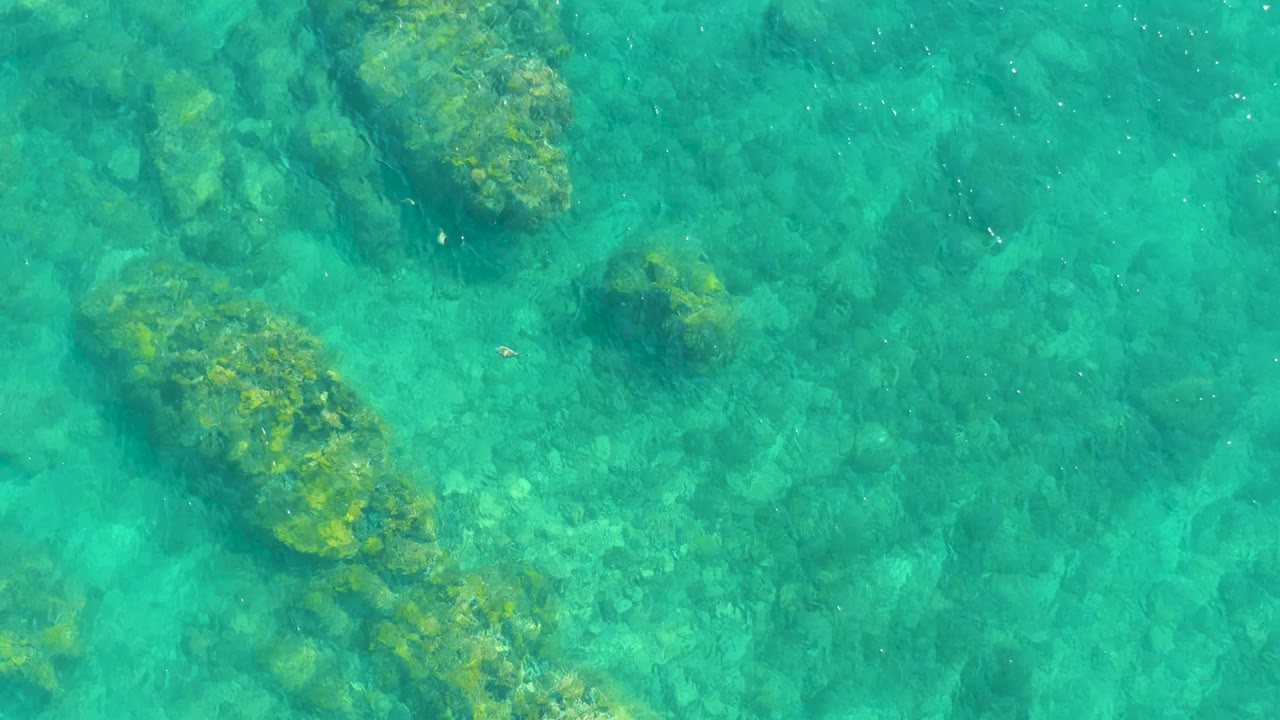 A straight-down view at Playa Acapulquito shows larger algae-covered rock clusters separated by pale sandy or stony seabed, with no visible people.