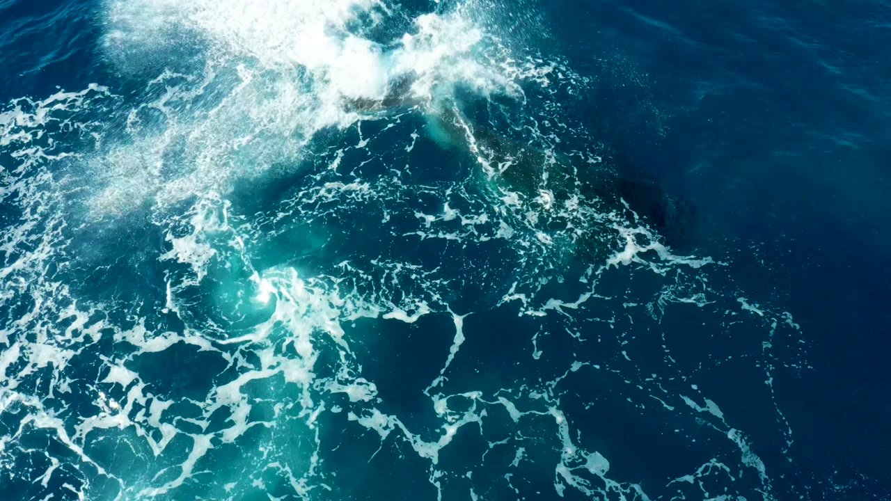 Overhead frame from Buzzards East Cape, Baja California Sur shows white foam and turquoise churn spreading across deep blue ocean after a whale tail movement, with no visible people.