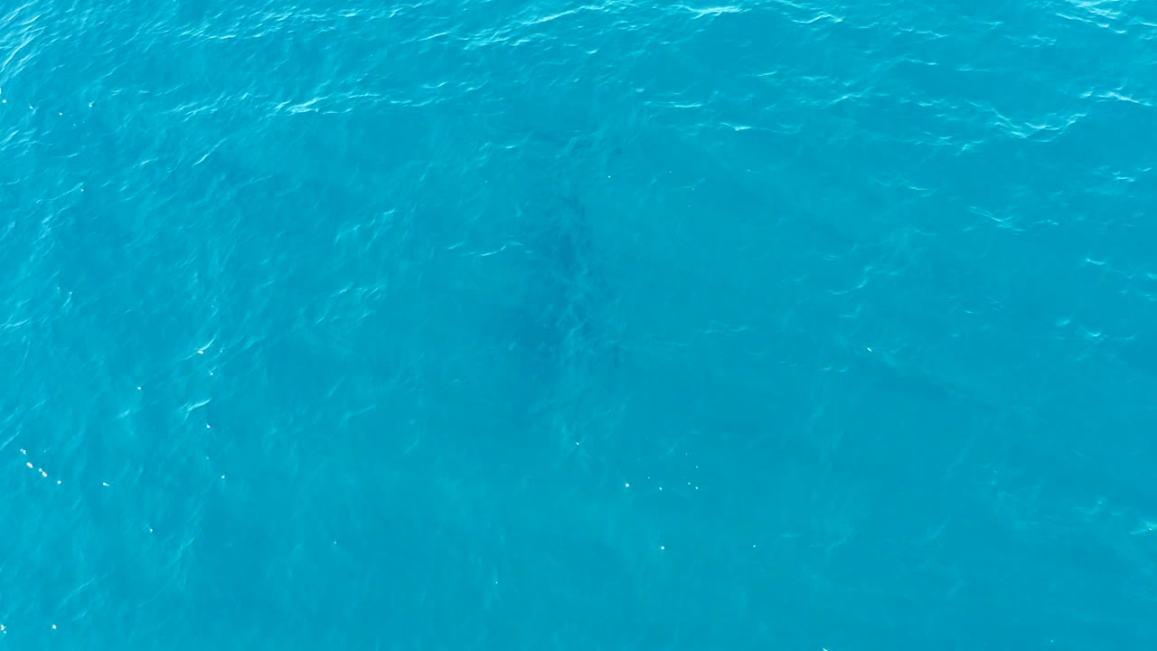 Overhead view at Buzzards Beach East Cape, Baja California Sur, showing turquoise water with a faint submerged marine animal shape and no visible people.