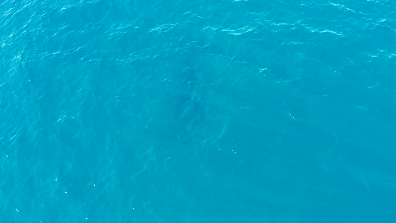 Clear turquoise water with ripples and a dark underwater shape.