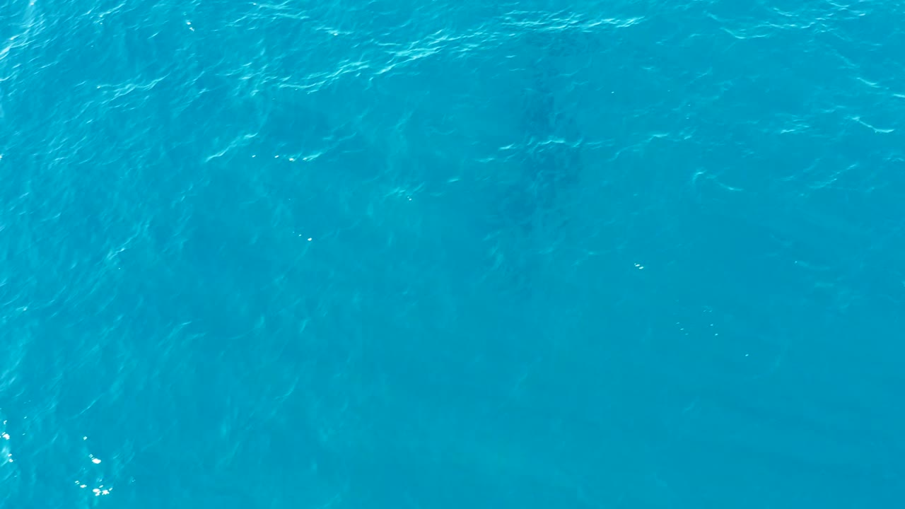 Overhead view in Buzzards Beach, East Cape, Baja California Sur, Mexico, where a submerged whale silhouette sits under brighter turquoise ripples with no visible people.
