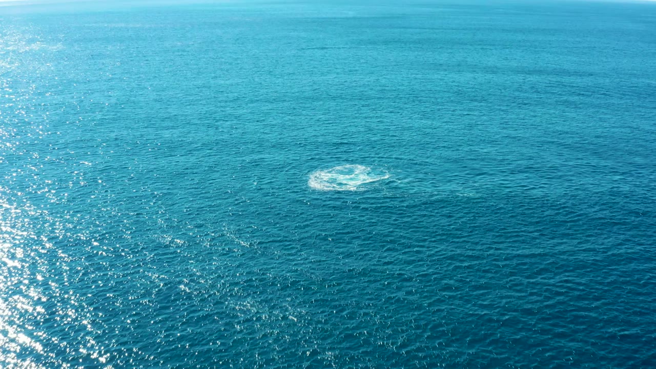 Aerial view over Buzzards Beach East Cape ocean water with a small white whale-surface splash left of center, bright sun reflection along the left edge, and no visible people.