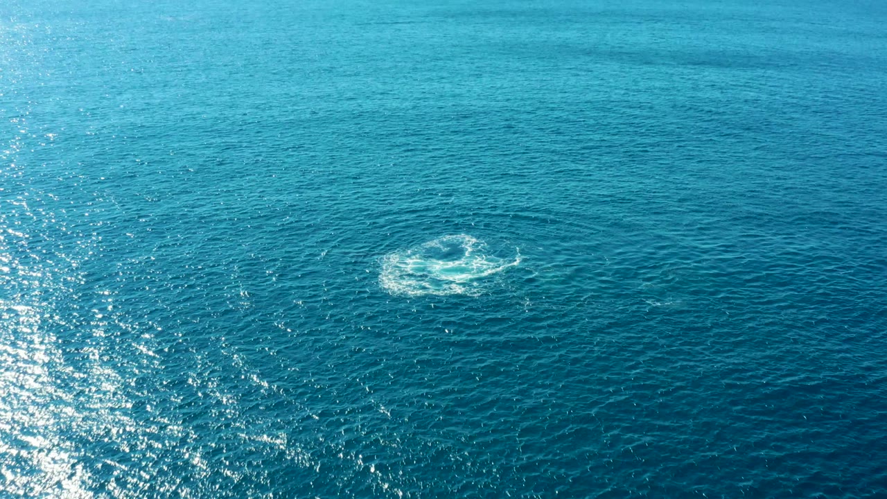 Overhead view of the East Cape ocean with a white circular disturbance on the water surface, textured blue waves, bright reflected sunlight, and no visible people.