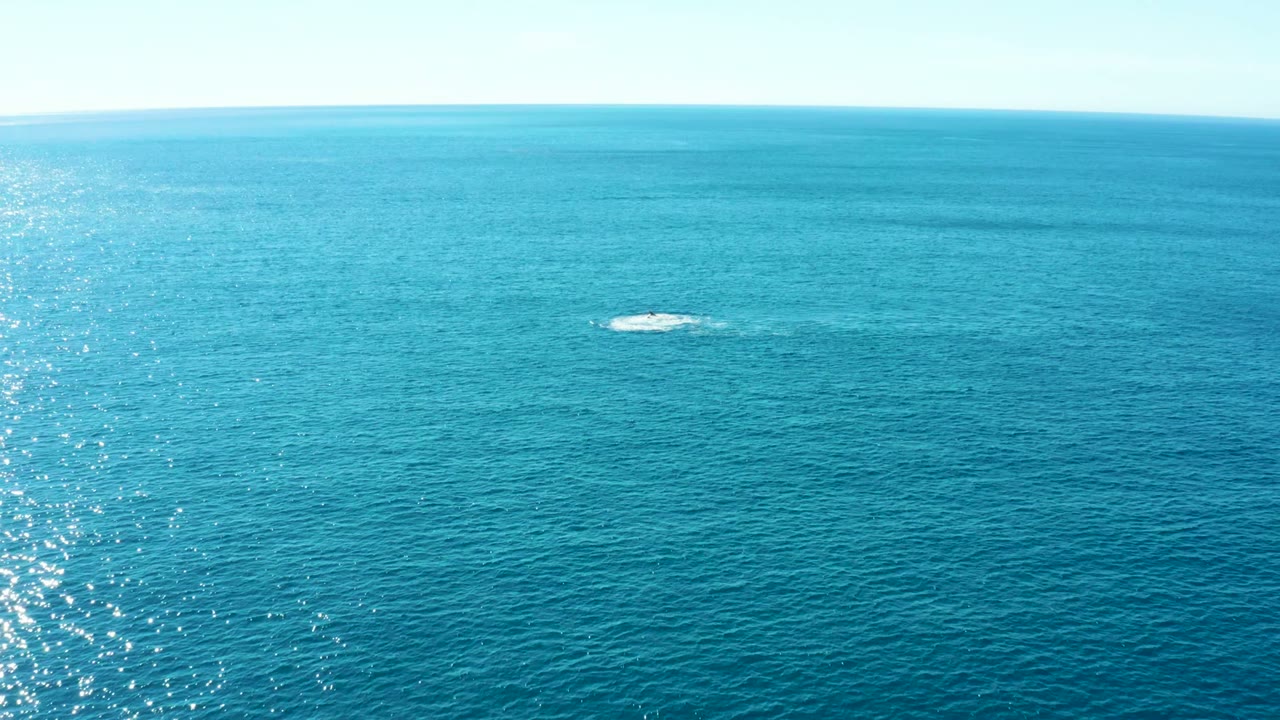 Blue ocean horizon with a white whale spout slightly right of center.
