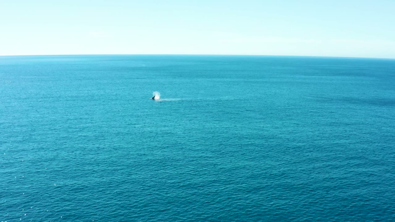 Wide calm ocean with a bright white spray plume near the left side.