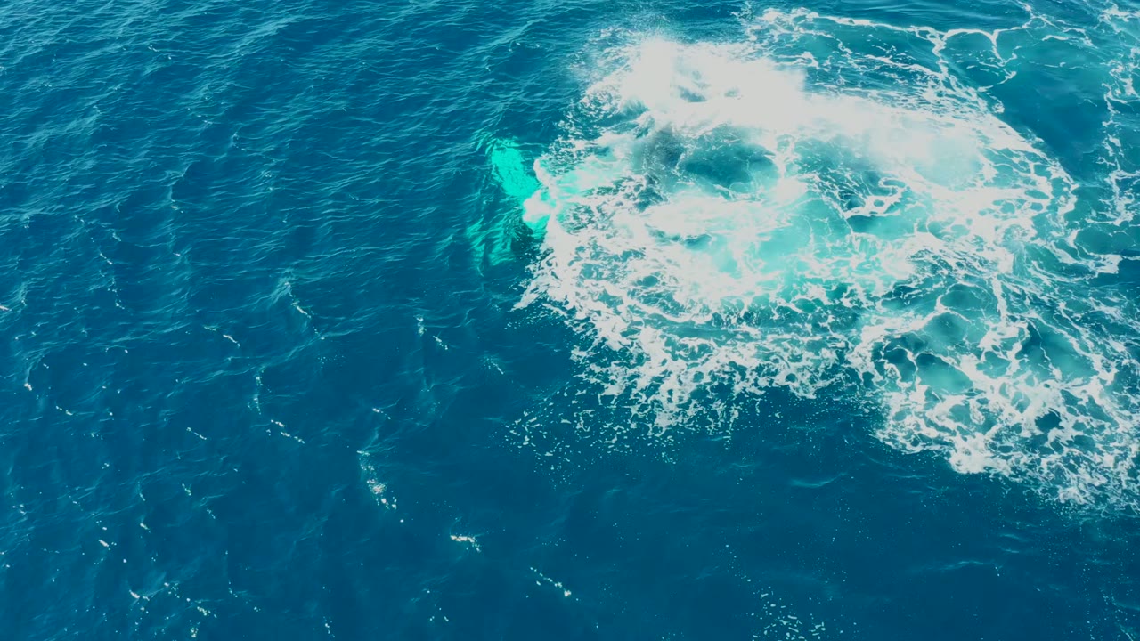 Aerial view at Buzzards Beach, East Cape, Baja California Sur, Mexico, showing a bright foam patch and submerged turquoise whale shape beneath the surface with no visible people.