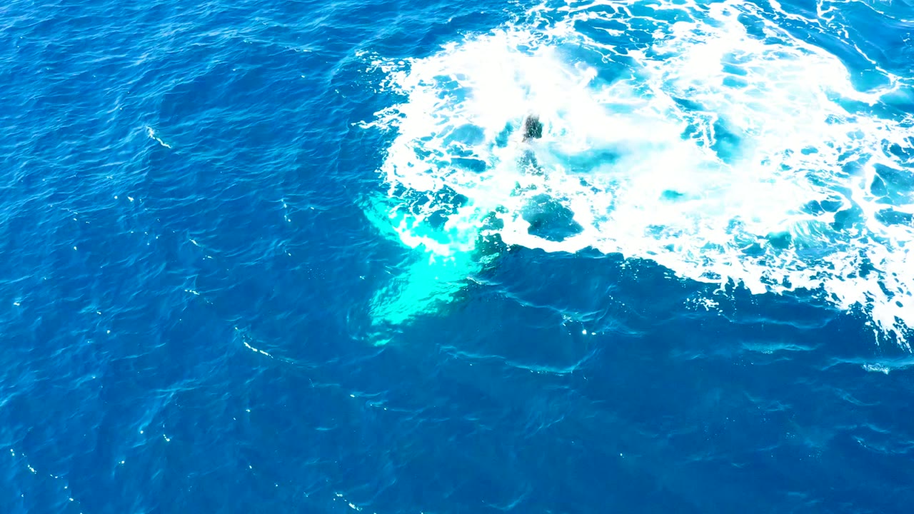 Overhead frame from Buzzards East Cape Los Cabos, Baja California Sur showing a humpback whale shape under turquoise water below a spreading white splash, with no visible people.
