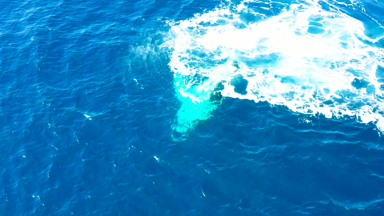 Whale beneath the surface near a broad patch of white ocean foam.