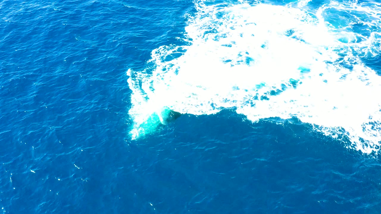 Overhead view of white boat wake foam spreading across deep blue ocean water at Buzzards Beach East Cape in Baja California Sur, Mexico, with no visible people.