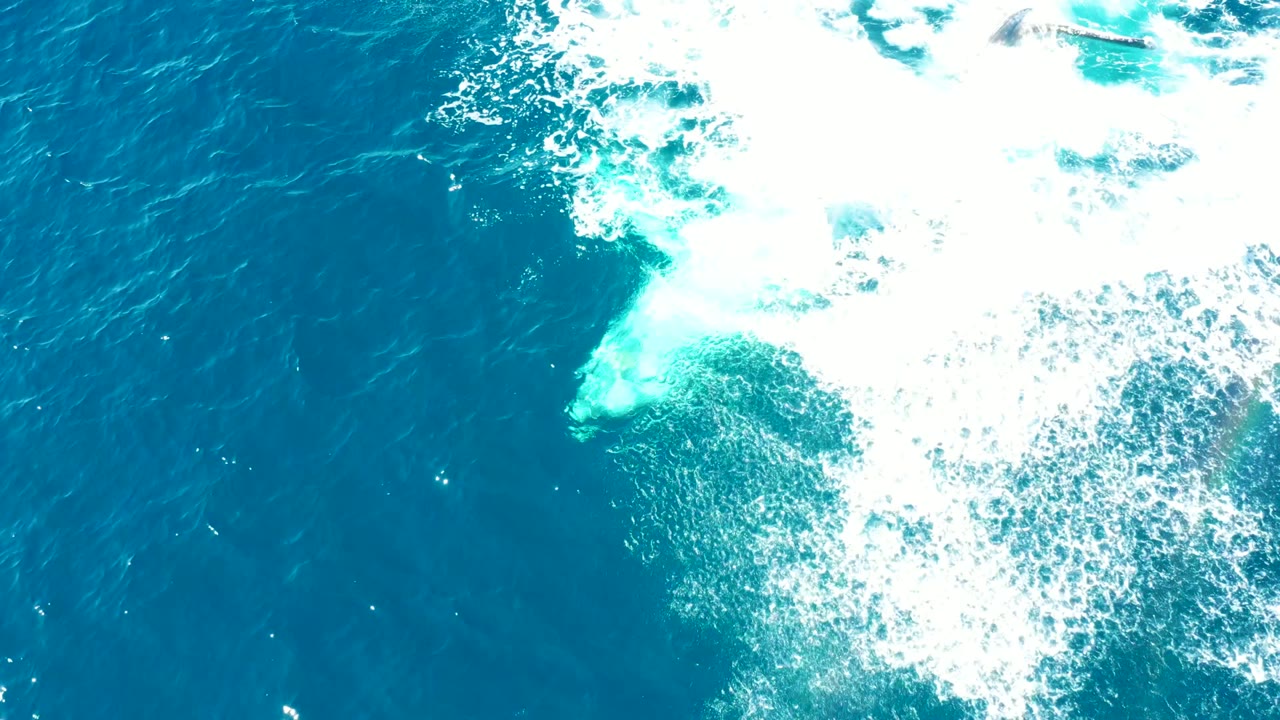 At Buzzards Beach East Cape in Baja California Sur, a humpback whale fluke sits just below turquoise water beside fresh white splash foam, with no visible people.