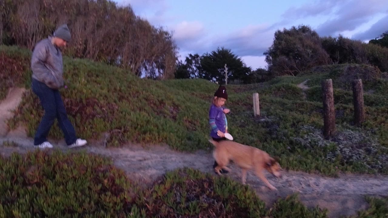 At the start of the clip in Pismo Beach California, a man in a gray jacket follows a child in a purple shirt as a tan dog moves along a sandy trail beside green shrubs.