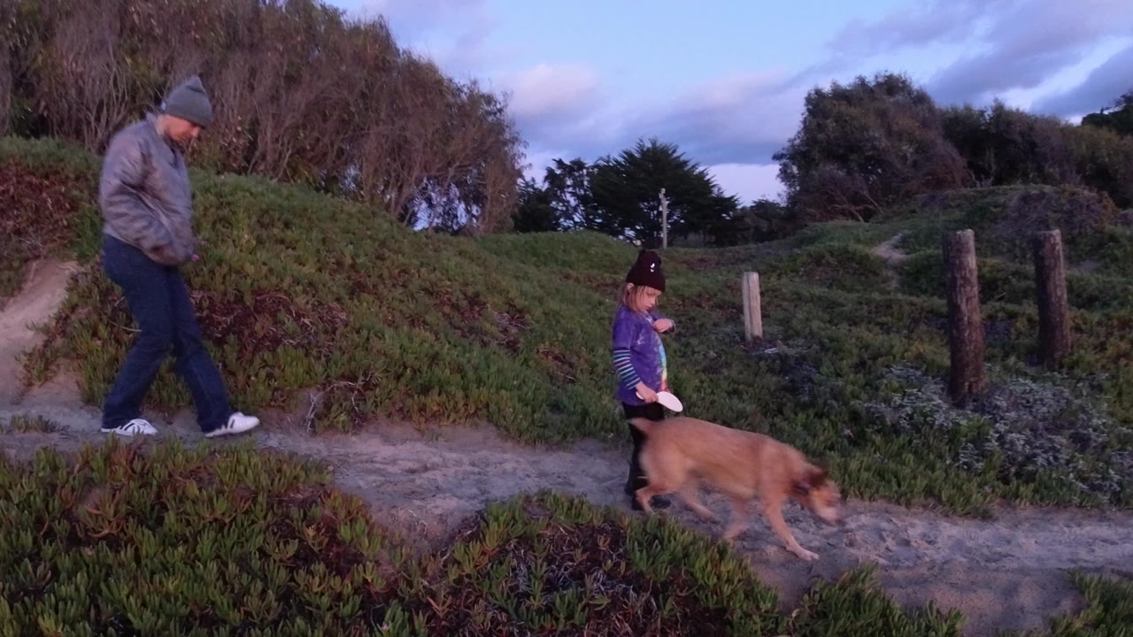Child and dog walk ahead of a man on a hillside path.
