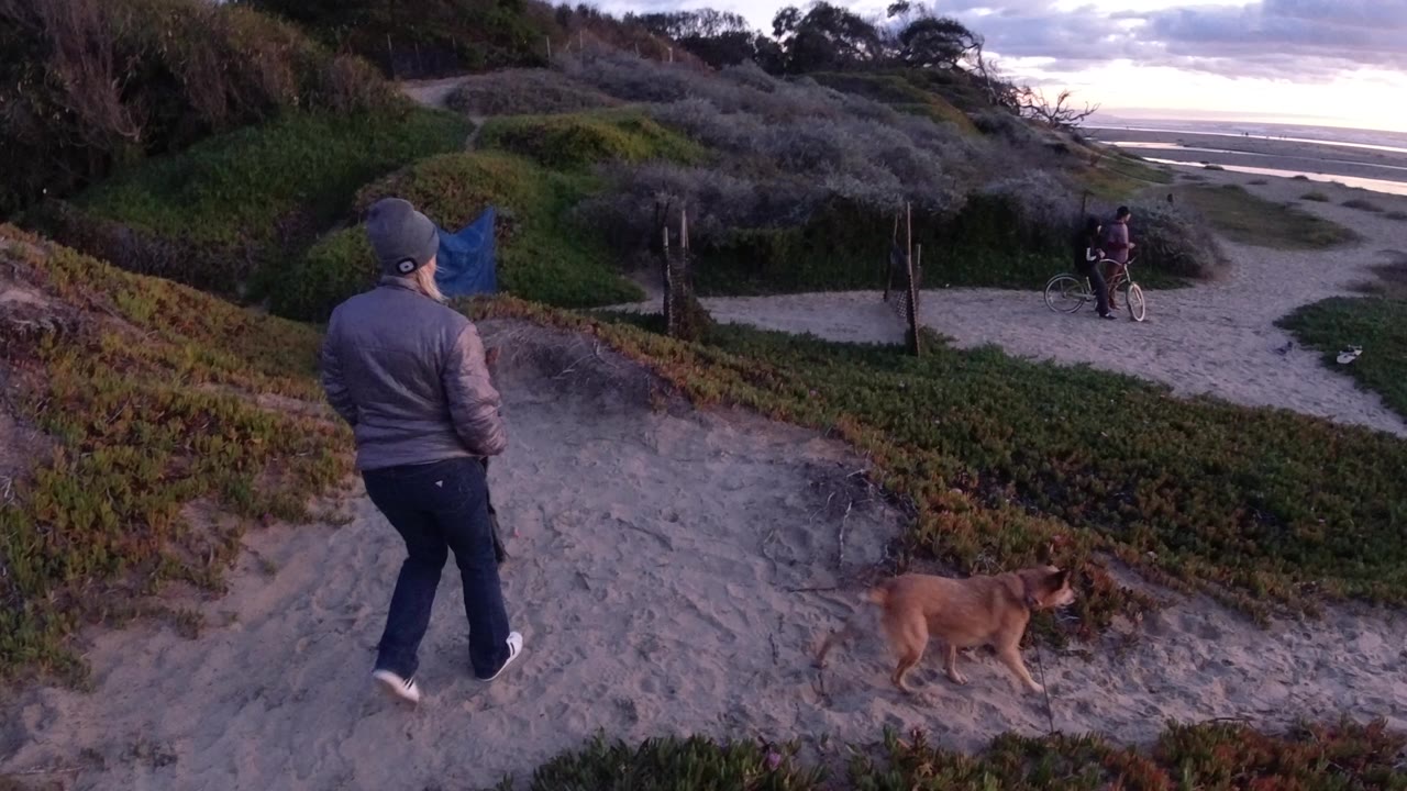 Man follows sandy dune path as dog moves along the vegetation edge.
