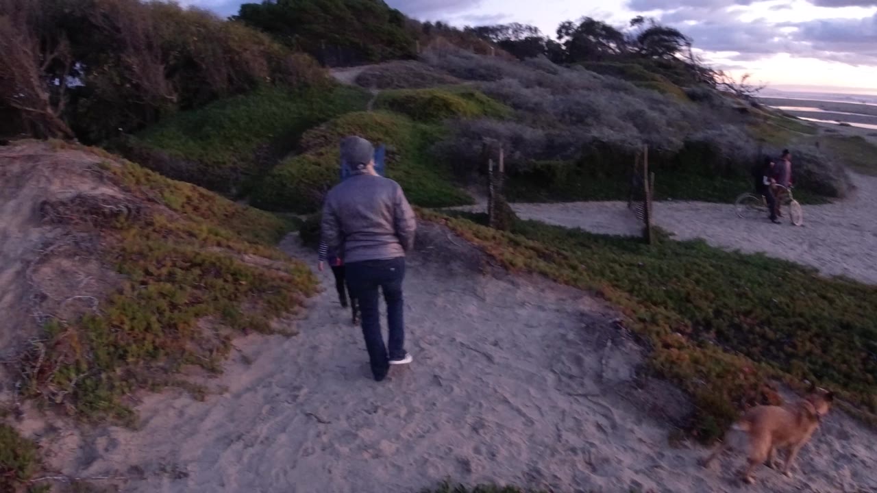 At Pismo Beach, the man moves away from camera along the sandy dune trail while the dog drops toward the lower right edge and a person stands on the beach path beyond.