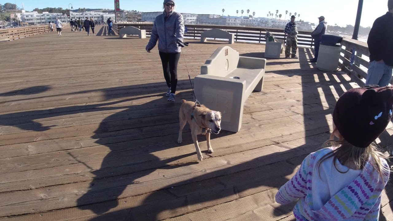 At 0:00 in Pismo Beach, California, a woman in a gray jacket walks a leashed golden retriever on a wooden boardwalk toward a child in a striped top, with benches, railings, ocean glare, and pedestrians behind them.