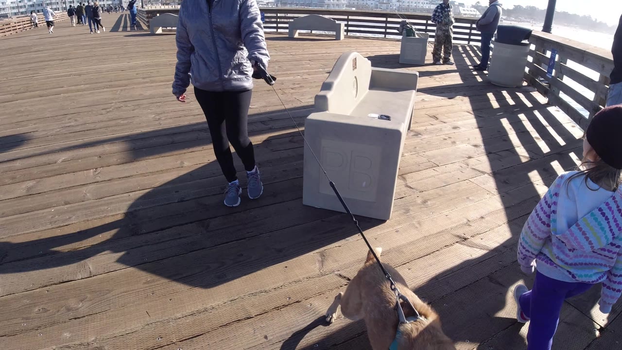 At 0:02 in Pismo Beach, California, the dog moves to the lower right of the frame near the child as the woman is partly cropped at the top, with a bench, railings, deck shadows, and ocean brightness in view.