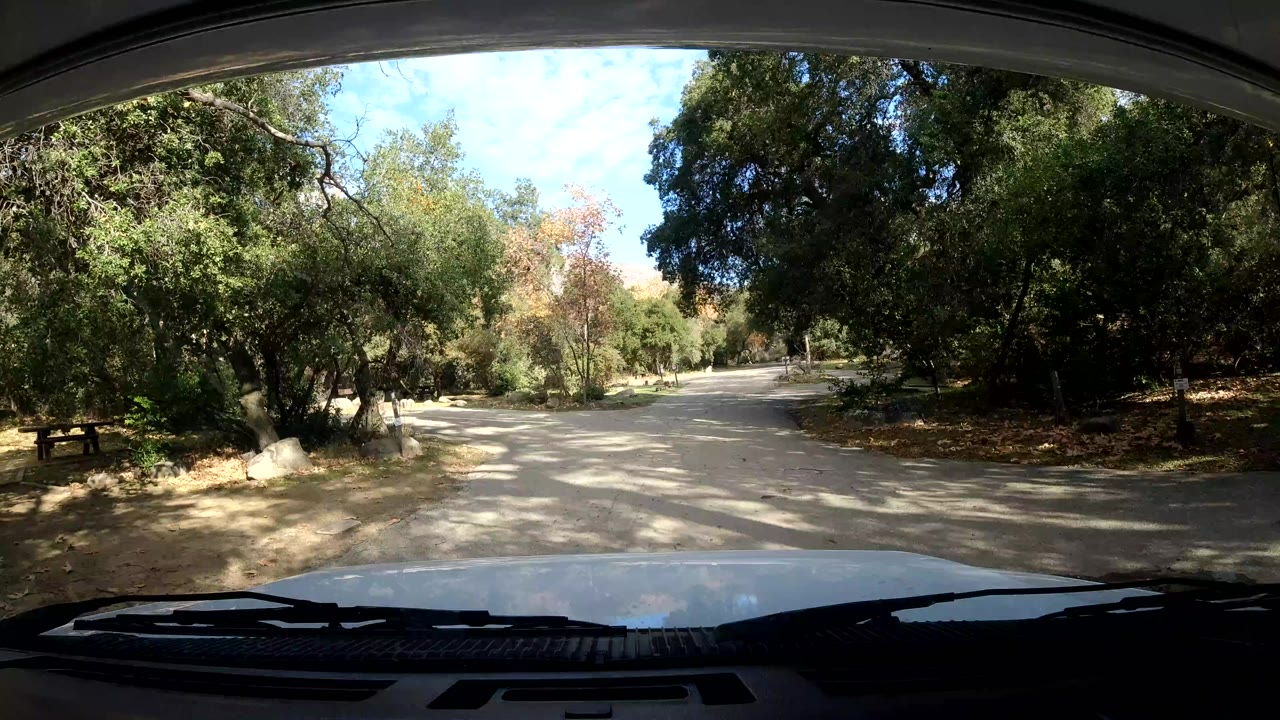 Dashcam view of the road and shaded trees ahead.