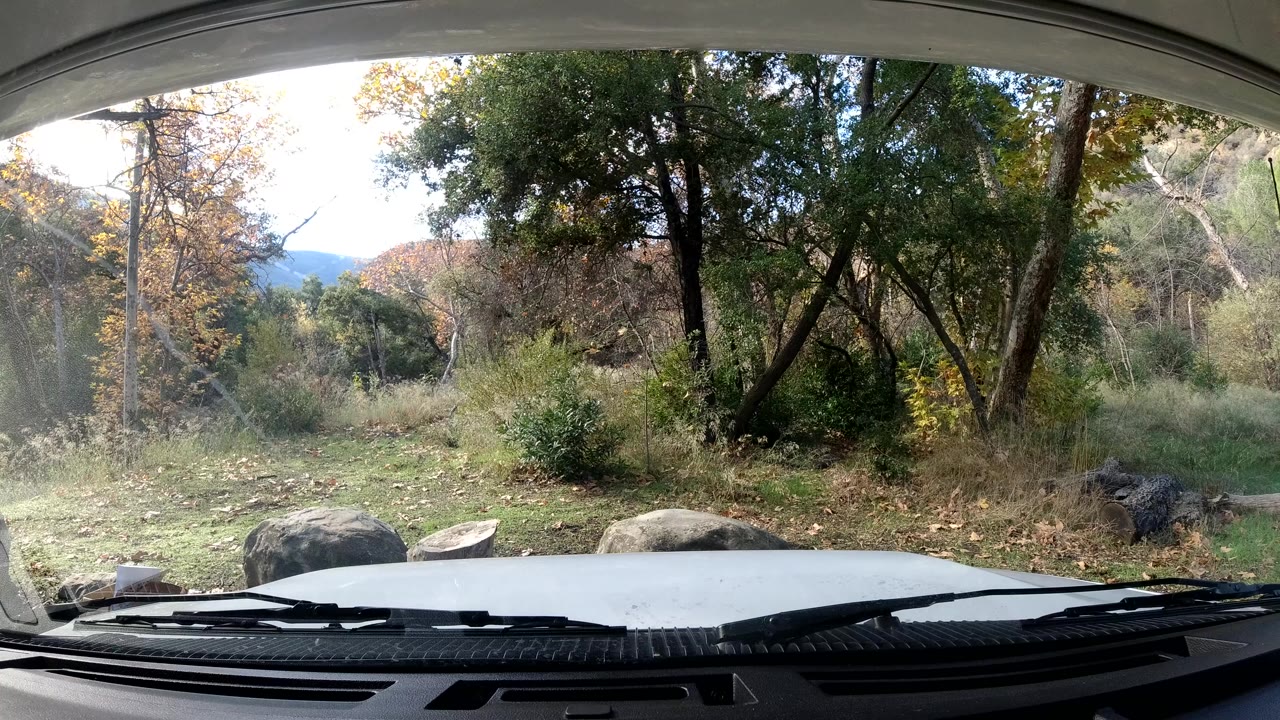 At 0:01, the vehicle interior frame holds on bright trees and dry grass beyond the windshield, with rocks in the foreground and no visible people.
