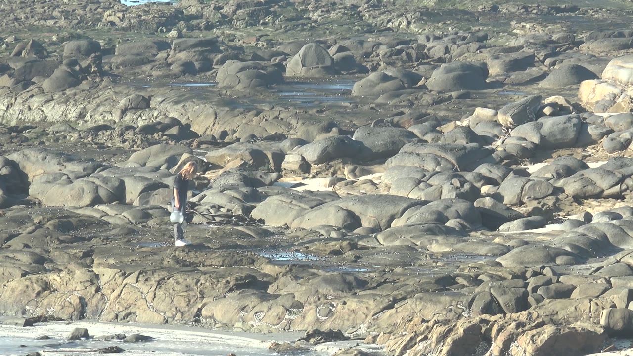 Person bends beside tide pools on a rocky beach.