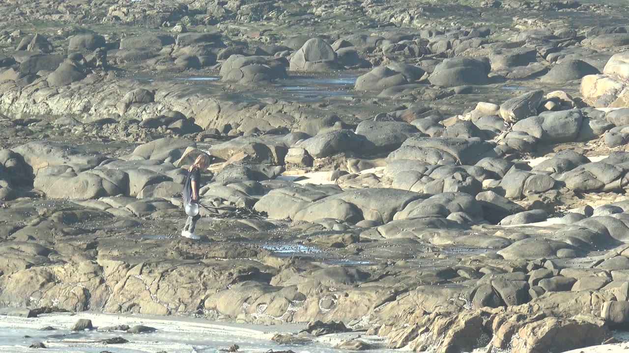 A person stands more upright among large rounded rocks in La Bocana BCS Mexico, with tide pools behind and the bucket visible near their legs.