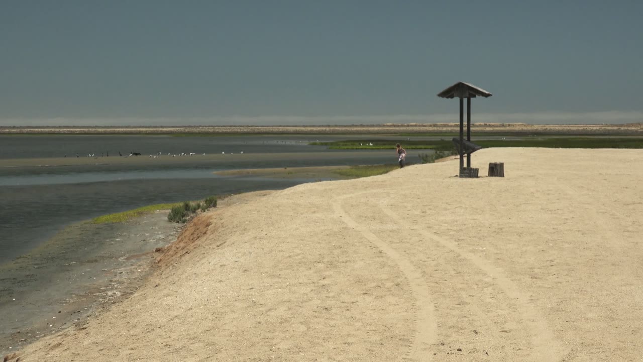 Opening frame in Guerrero Negro BCS Mexico showing a pale sandy bank beside calm water, scattered birds, a small wooden shelter, and a distant person near the shoreline.