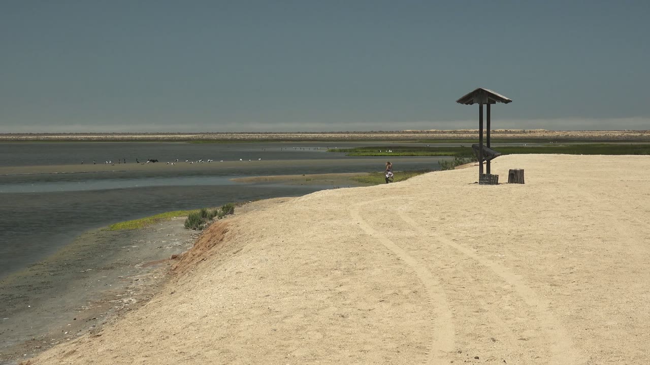 Person walking near the water with birds and a shelter on the sandy bank.