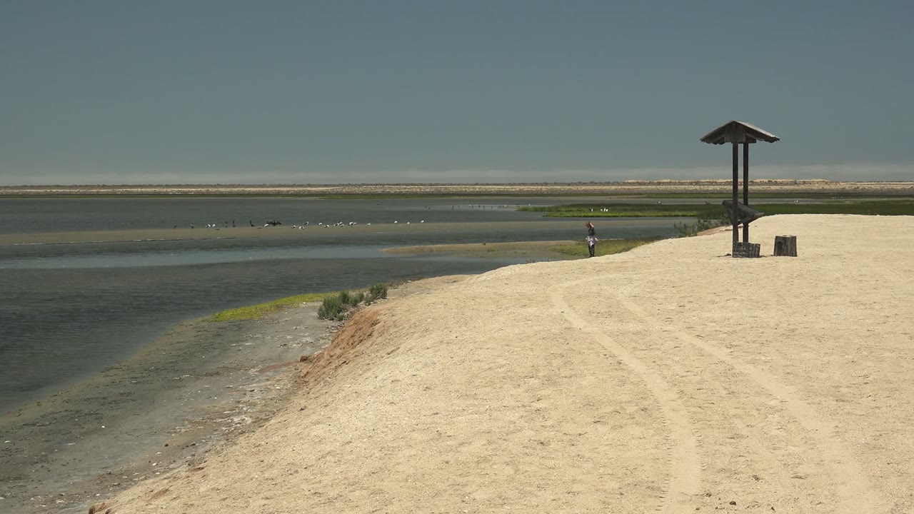 The Guerrero Negro BCS Mexico shoreline remains wide and sparse, with the person near the bank, birds in the water, a wooden shelter at right, and pale sand across the foreground.