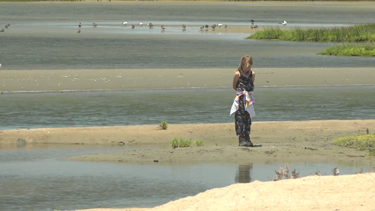 At 0:00, a person stands on a muddy bank in Guerrero Negro BCS Mexico, with shallow water channels, distant birds, and green marsh patches behind them.