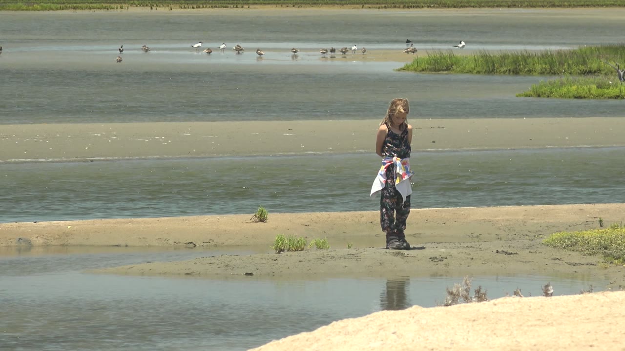 Person on mudflat with birds scattered across shallow water.