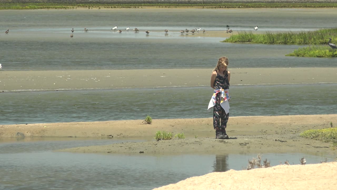 At 0:02, the person stands slightly right of center in Guerrero Negro BCS Mexico, while birds dot the shallow background water and green marsh vegetation breaks up the sandbars.