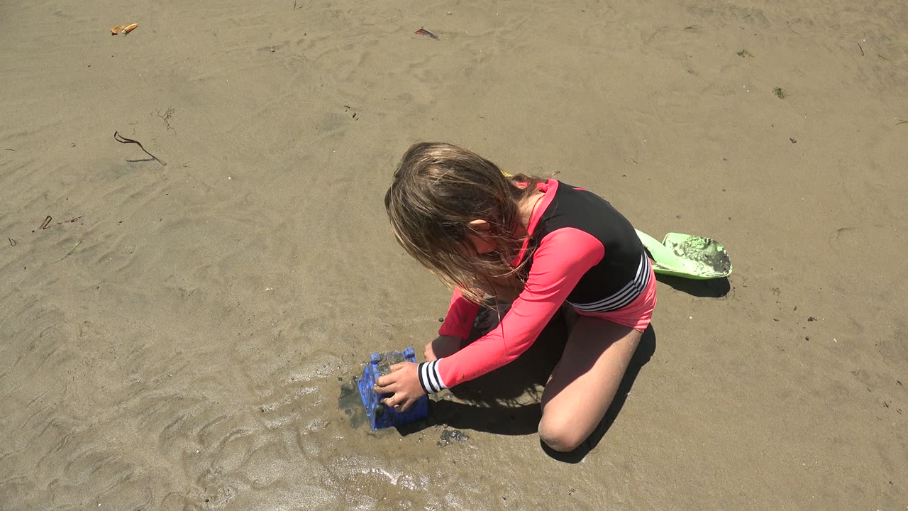 Child leaning over a blue toy pressed into wet beach sand.