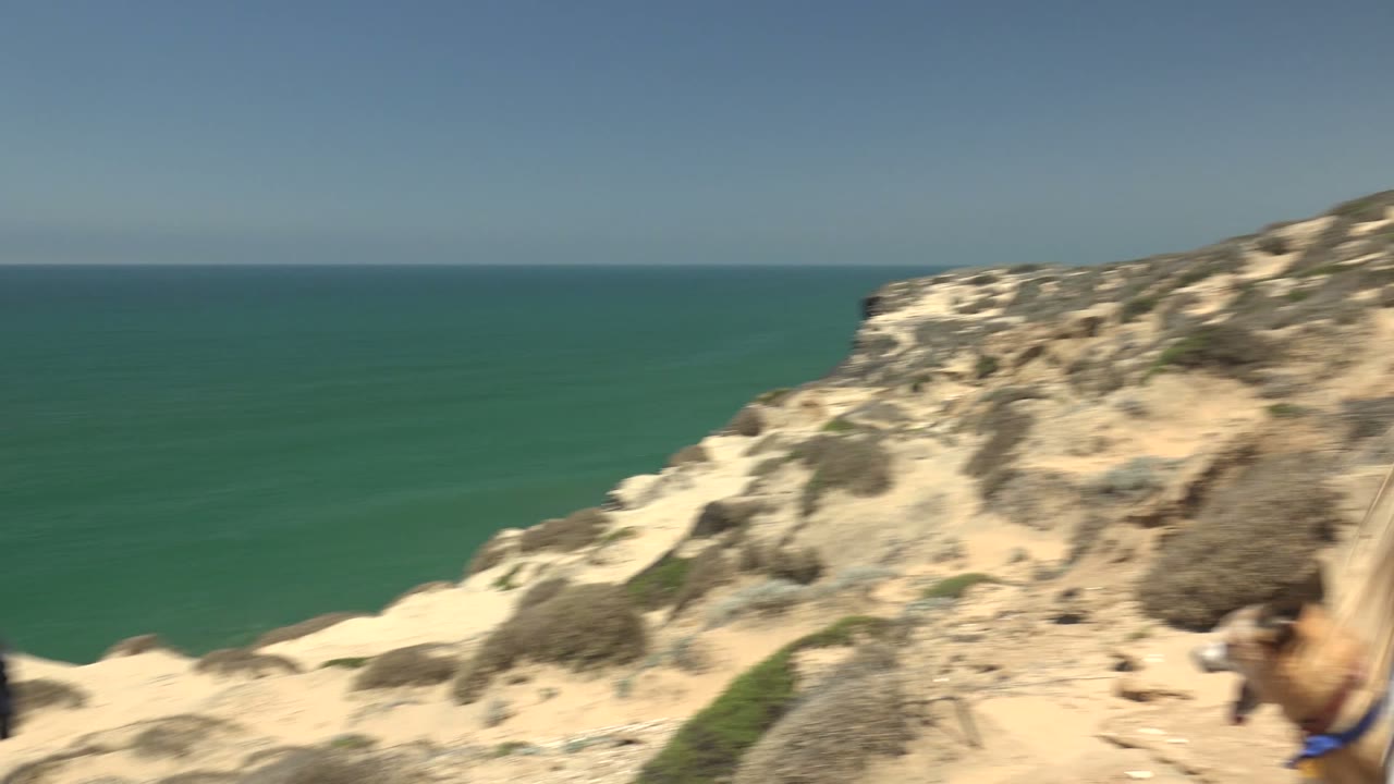 The ocean horizon and pale cliff terrain dominate this San Quintin, Baja California, Mexico frame while part of a woman and a tan dog appear at the right edge.