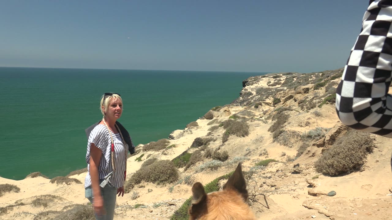 Woman facing camera on coastal cliff with dog ears in foreground