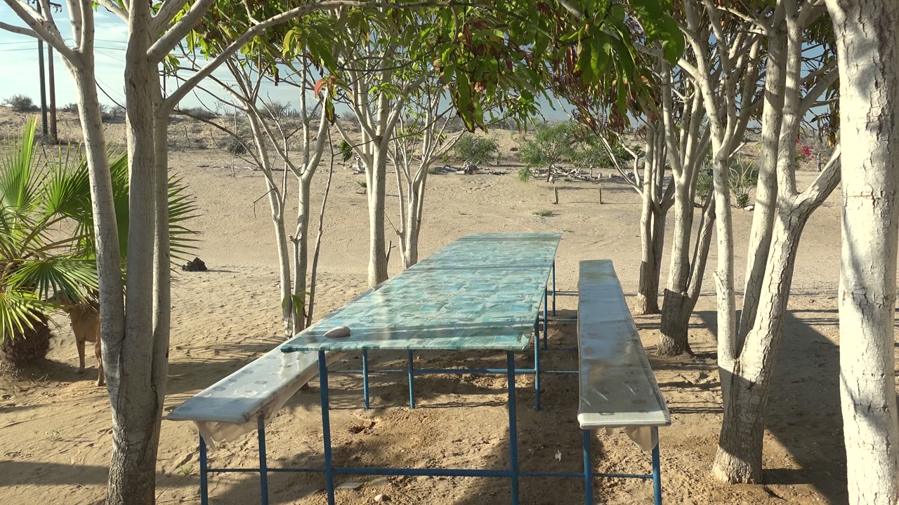Glass picnic table and benches among trees on sandy ground.