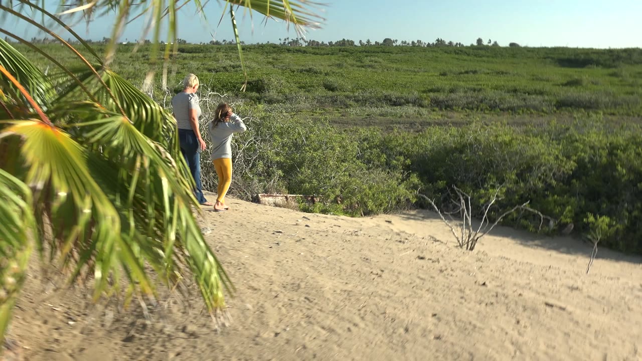 A woman and a young child walk along sandy dunes in San Carlos BCS Mexico, partially framed by palm fronds with green scrubland behind them.