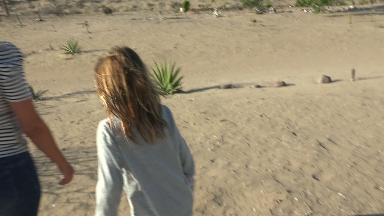 Two people seen from behind walking through sandy desert in San Carlos BCS Mexico, with scattered small plants and cacti ahead.