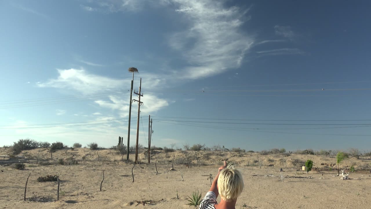 Utility poles and power lines rise over sandy desert in San Carlos BCS Mexico, with the top of one person visible near the bottom edge.