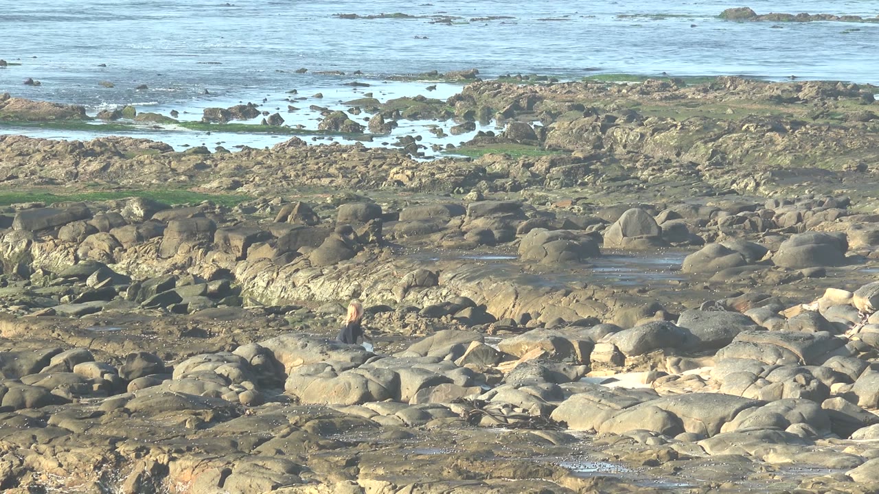La Bocana BCS Mexico rocky shoreline at the start of the clip, with rounded boulders, tide pools, pale ocean water beyond, and a small person visible left of center.